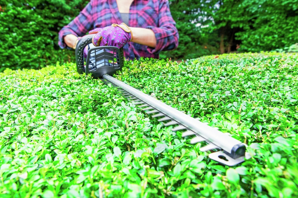 Spear & Jackson 51cm Cordless Hedge Trimmer with Battery 18V