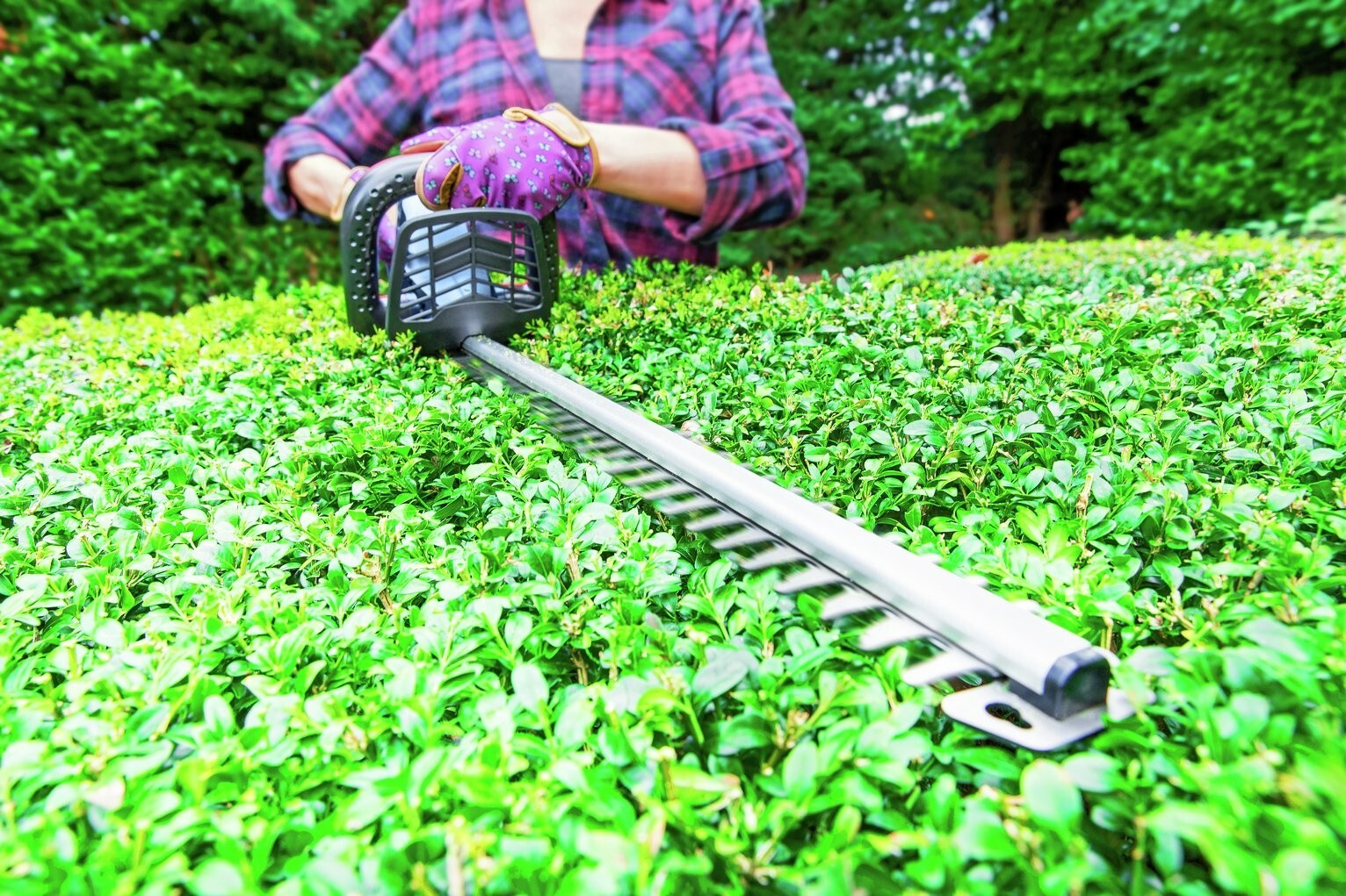 Spear & Jackson 51cm Cordless Hedge Trimmer with Battery 18V