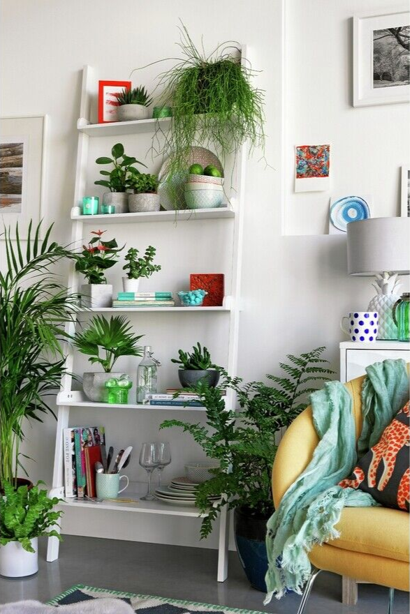 Habitat Jessie Ladder Shelf - White | Wall-Mounted Storage Living Room or Office