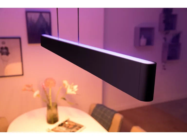 Philips Hue Hue White and colour ambience Ensis pendant light (S)
