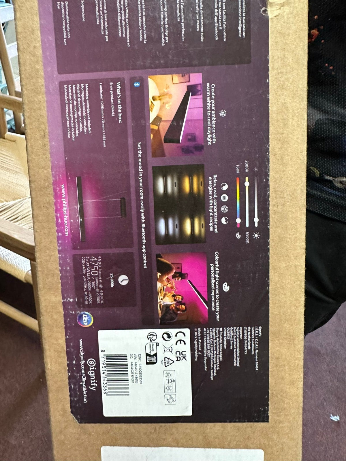 Philips Hue Hue White and colour ambience Ensis pendant light (S)