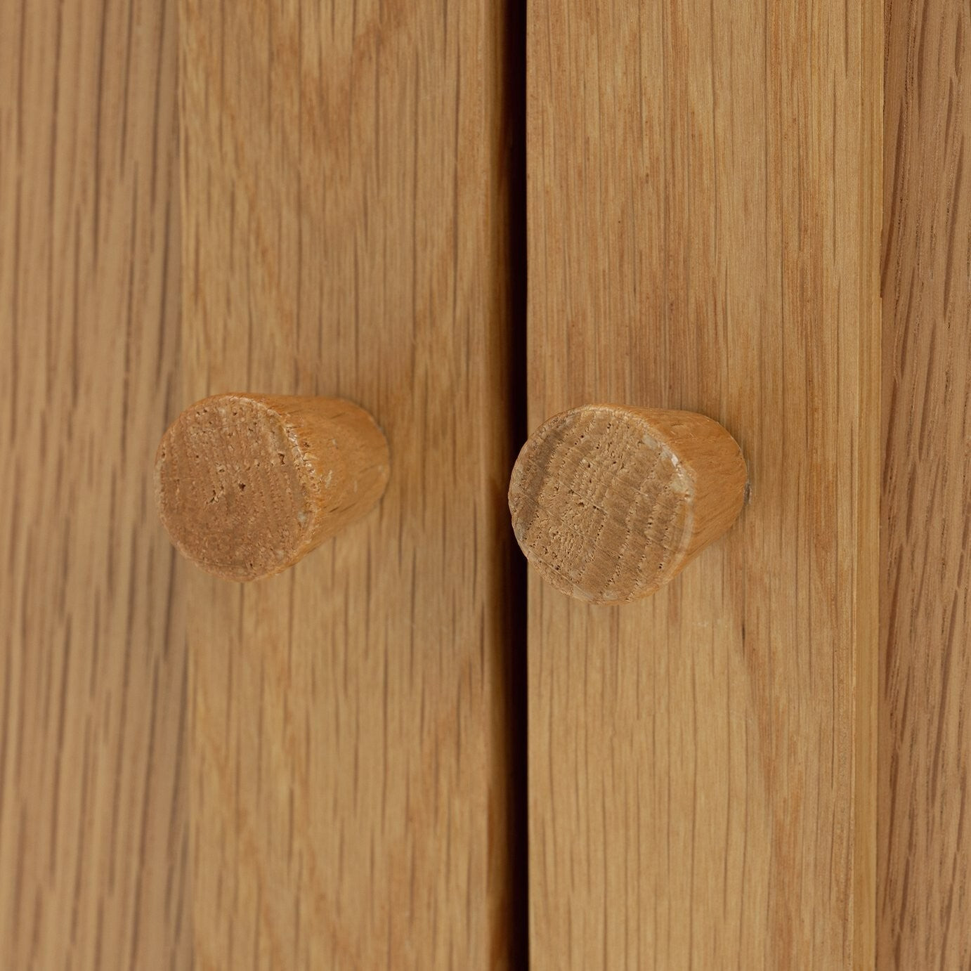 Kent 2 Door Shoe Storage Cabinet - Oak