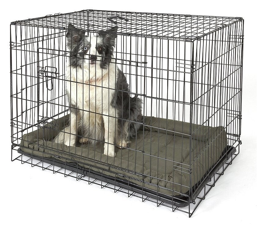 Double Door Dog Crate- Large | Pet Cage Kennel for Home Large Breed Dogs