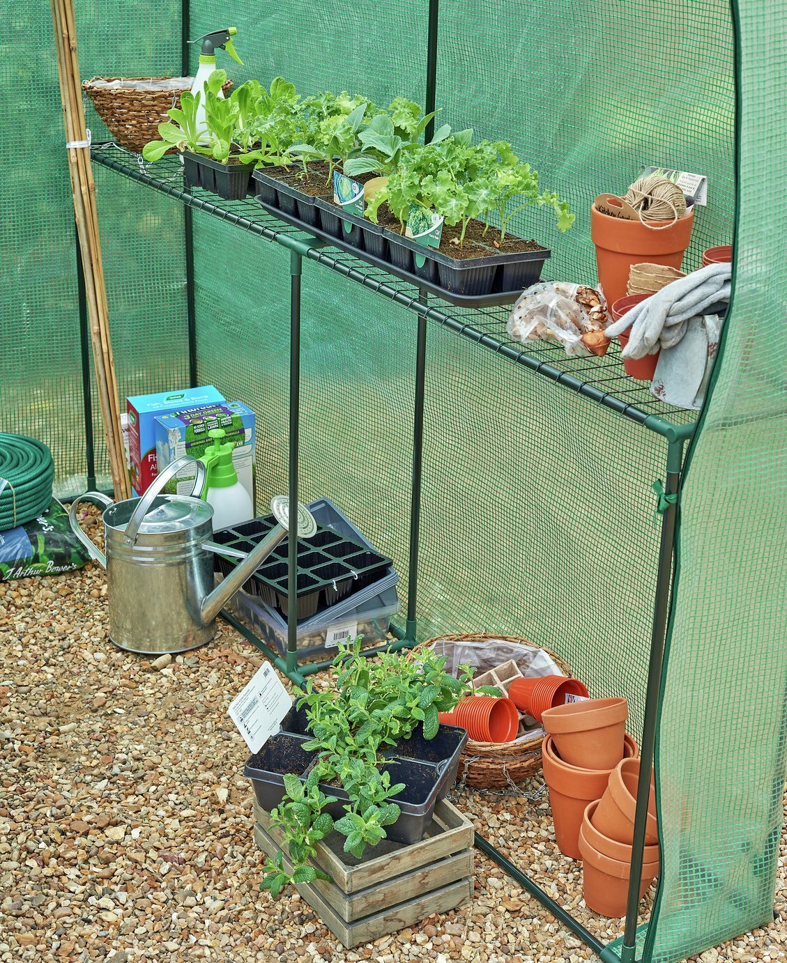 McGregor Large Walk In Greenhouse | Portable Garden Growhouse with Shelves
