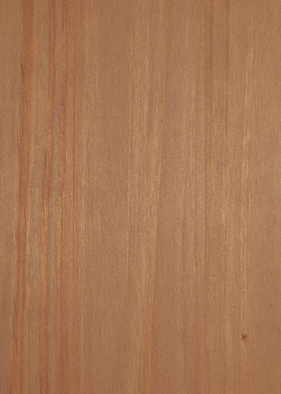 Solid Pine 2 Drawer Tall Bookcase
