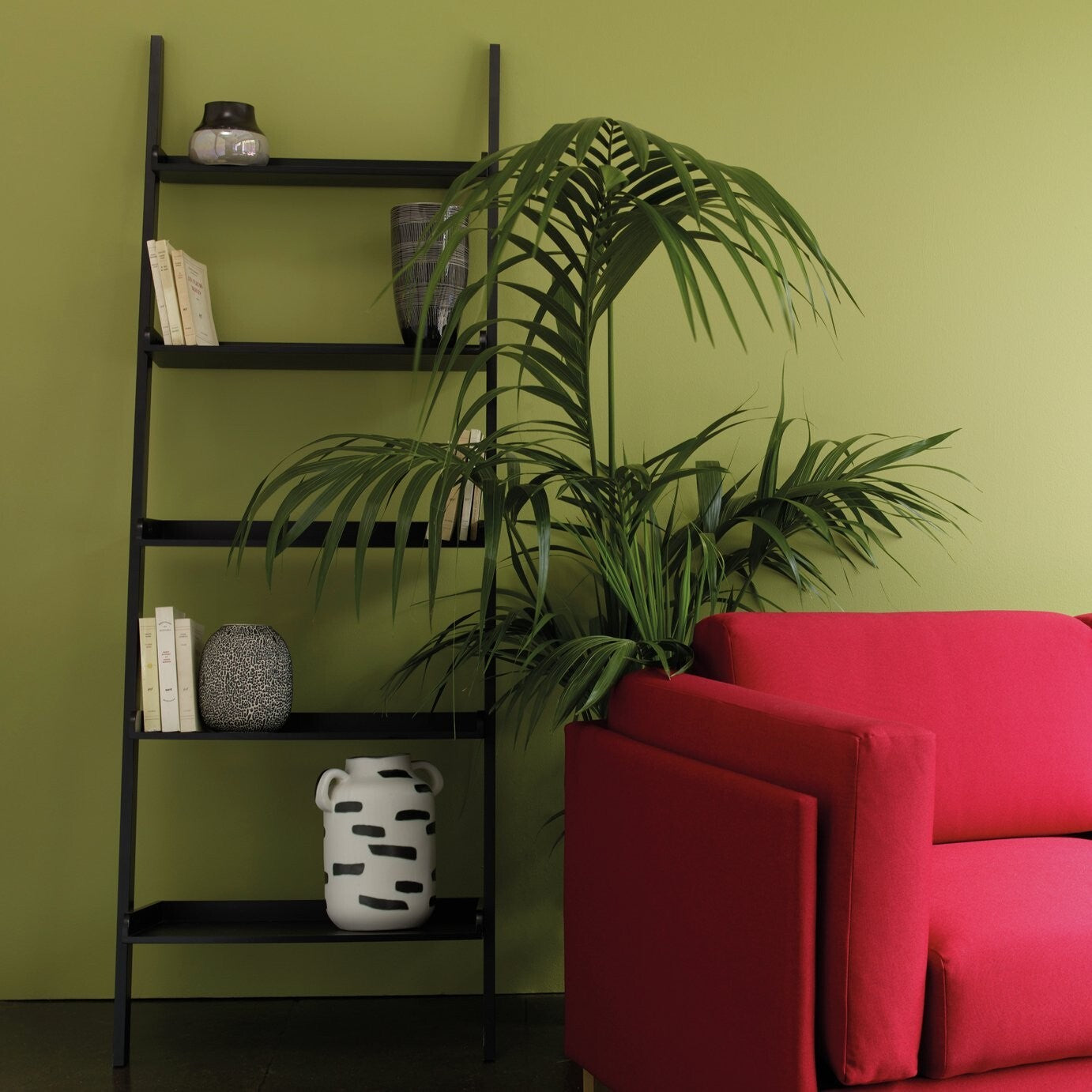 Habitat Jessie Ladder Shelf - Black | Black Leaning Ladder Shelf Storage Unit Mo