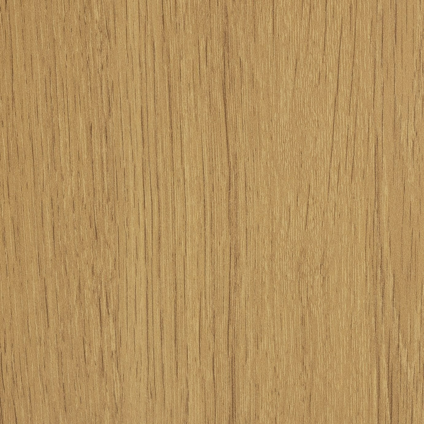 Seville 2 Door Shoe Storage Cabinet - Oak